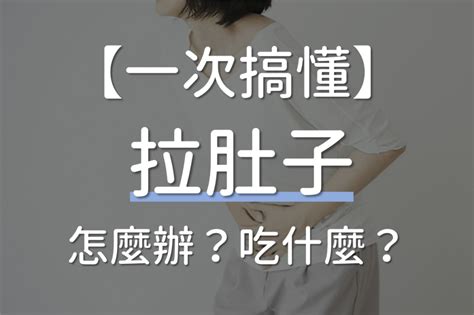 拉肚子原因|一直拉肚子怎麼辦？速懂腹瀉常見原因及休養緩解方式…